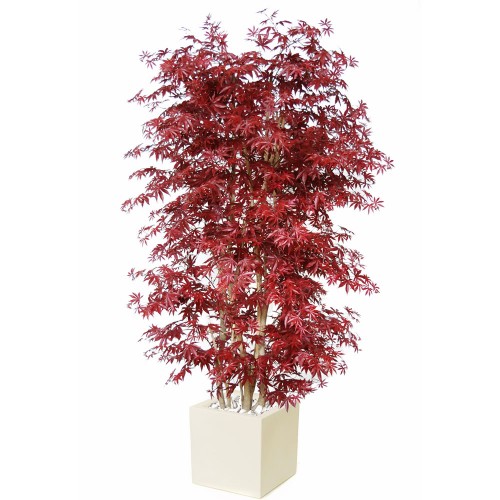 Planta semi-artificiala Ila, Maple Boschetto Burgundy - 220 cm